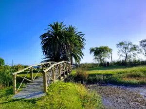 Reserva Lago Navarro