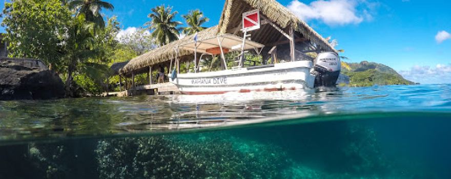 Mahana Dive