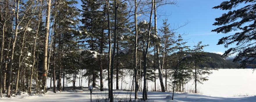 Camp d'Accueil Camping