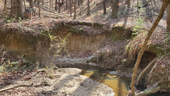 Crystal Springs