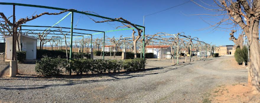 Camping Los Naranjos