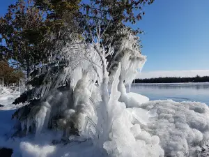 South Bay Resort & Campground