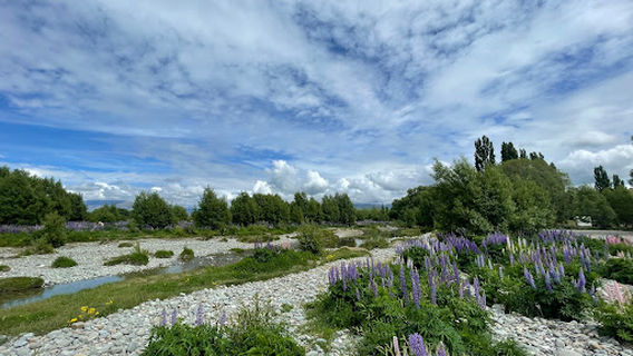 Ahuriri Bridge Conservation Area