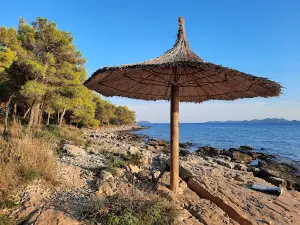 Plaža Pilatuša
