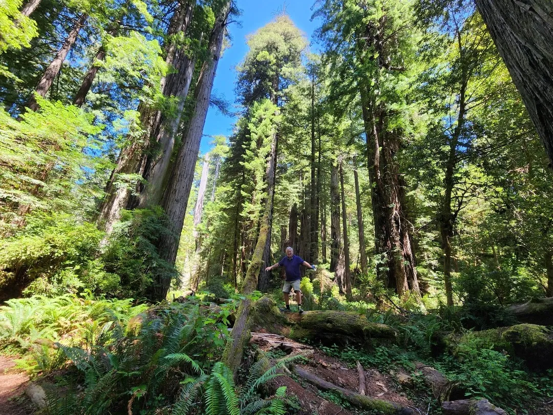 5_Redwood National and State Parks