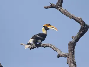 Dudhwa National Park