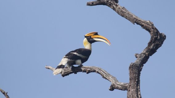 Dudhwa National Park