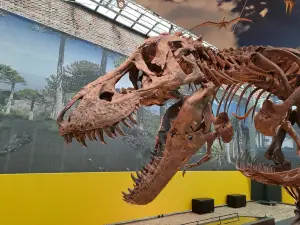 Natuurmuseum Fryslan