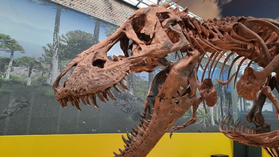 Natuurmuseum Fryslan