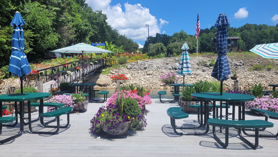 Daniel Boone National Forest