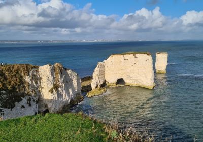 Old Harry Rocks