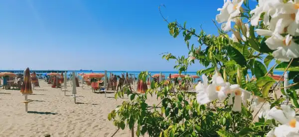 Hotels in Gela