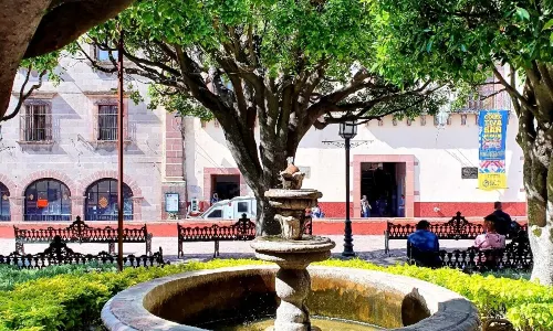 Jardín Allende