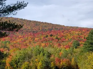 Green Mountain National Forest