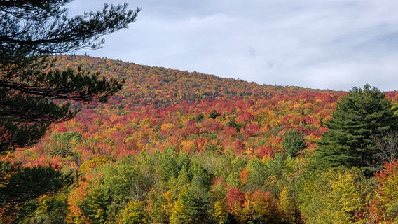 Green Mountain National Forest