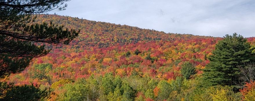Green Mountain National Forest