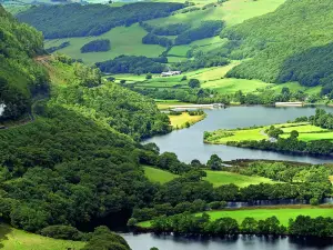 Vale of Rheidol Railway