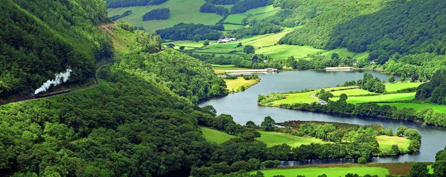 Vale of Rheidol Railway