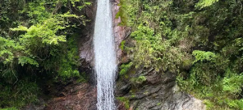 皆野町のホテル