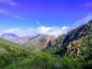 Lost Mine Trail