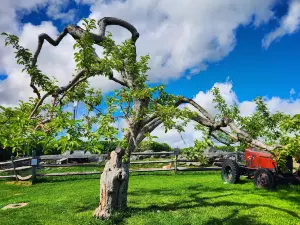 Red Apple Farm