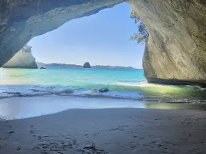 Cathedral Cove Kayak Tours