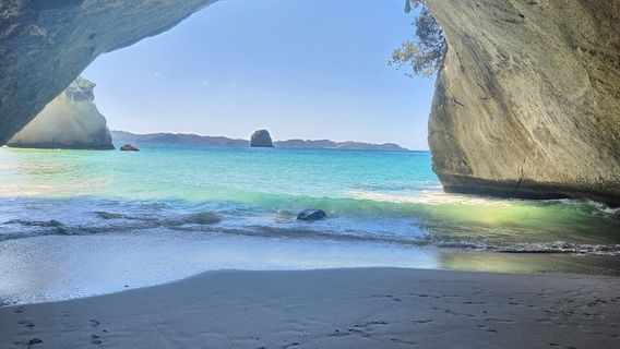 Cathedral Cove Kayak Tours
