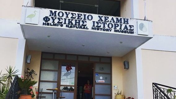 Helmi's Natural History Museum