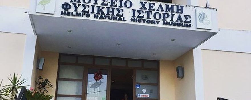 Helmi's Natural History Museum