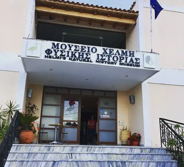 Hotels near Helmi's Natural History Museum