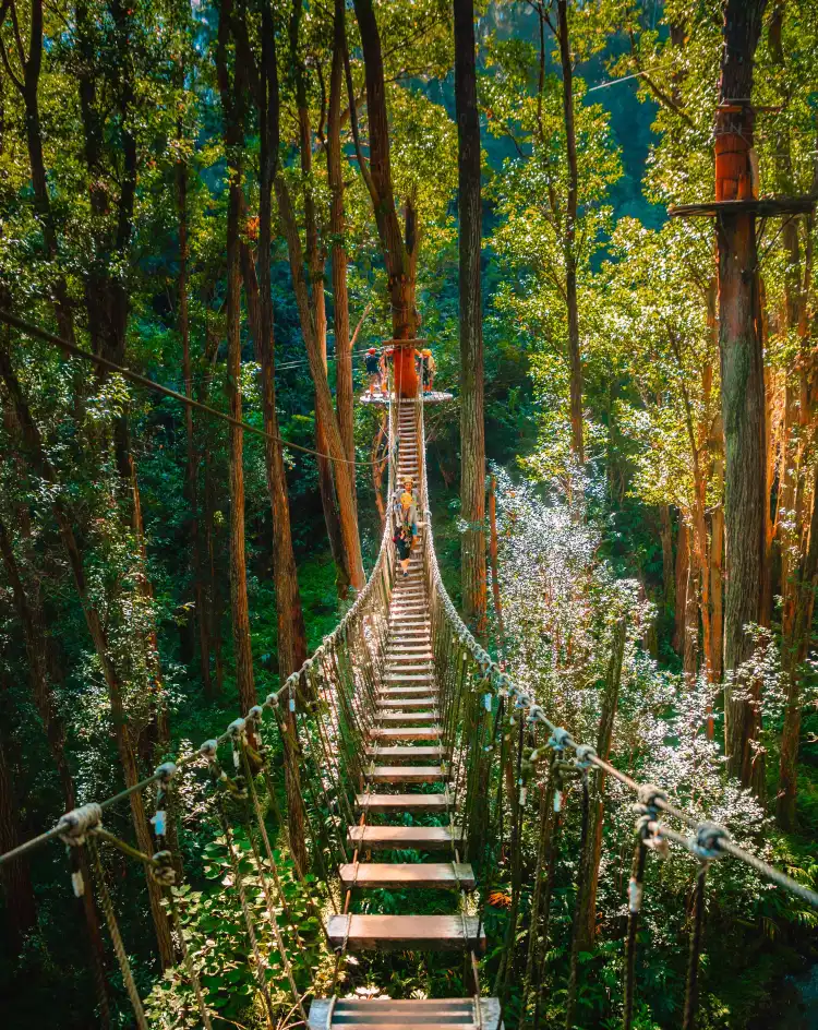 فنادق في هاوي