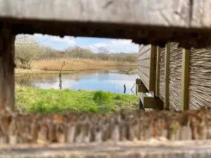 Welsh Wildlife Centre