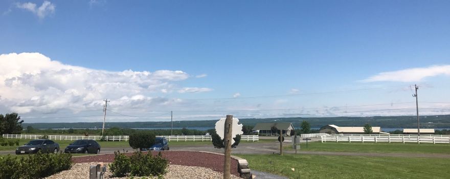 Torrey Ridge Winery