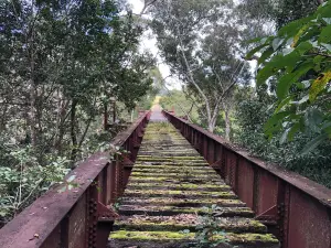 Yungaburra Platypus Viewing Platform