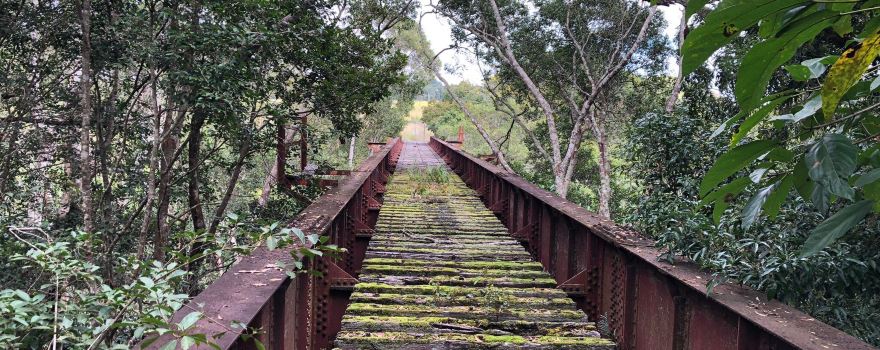 Yungaburra Platypus Viewing Platform