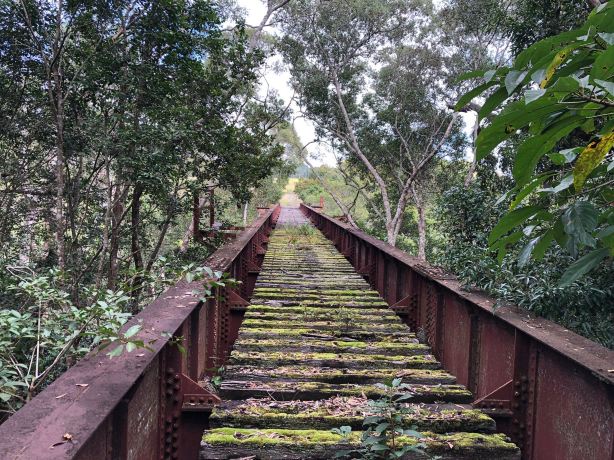 Yungaburra Platypus Viewing Platform
