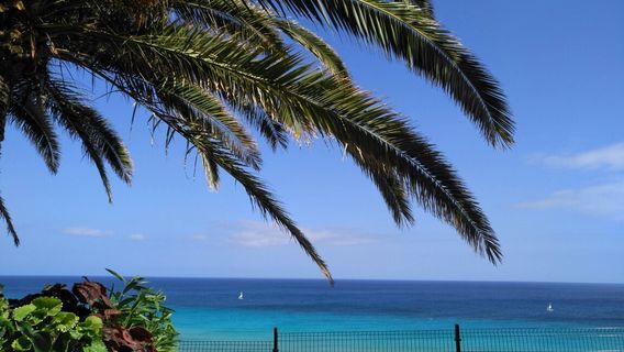 Costa Calma