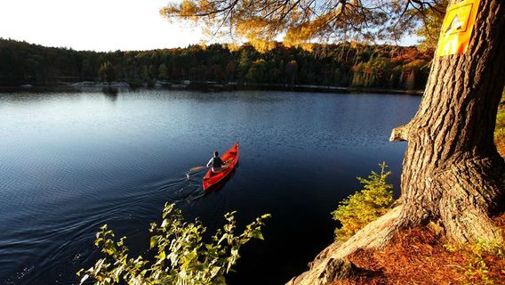 Algonquin Outfitters - Oxtongue Lake