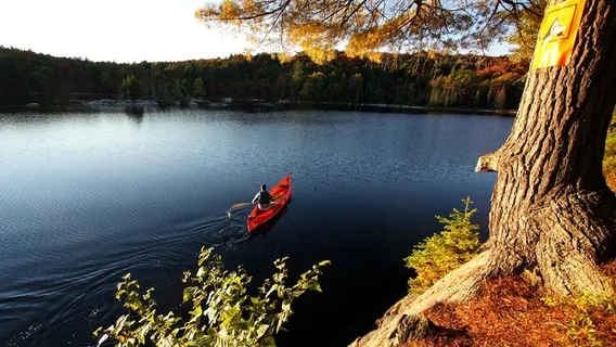 Algonquin Outfitters - Oxtongue Lake