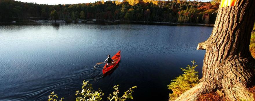 Algonquin Outfitters - Oxtongue Lake