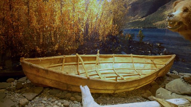 George Johnston Museum