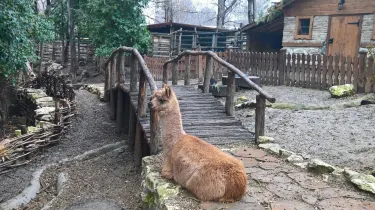 Zoopark