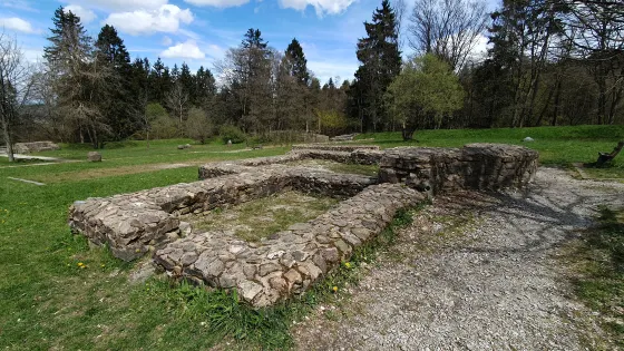 Limeskastell / Römerkastell Feldberg