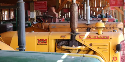 Sunnybrook Farm Museum