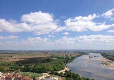 Casa-Museu Passos Canavarro