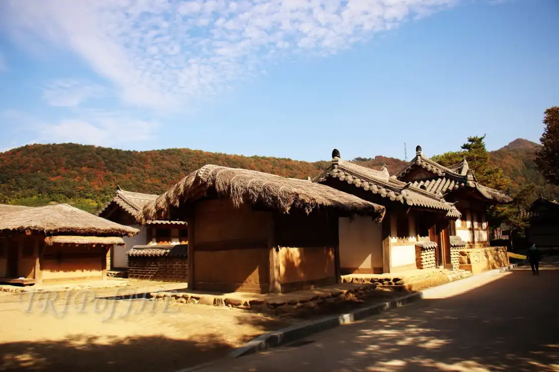 온달관광지 주변 호텔