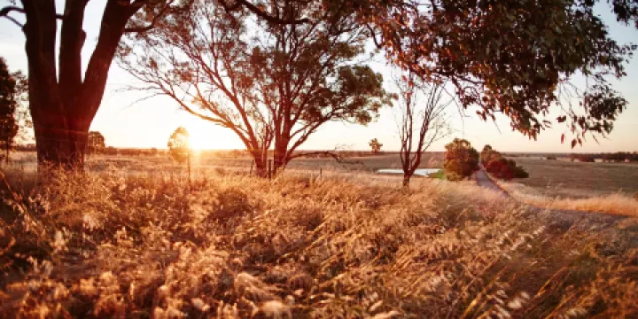 Rutherglen Wine Experience and Visitor Information Centre