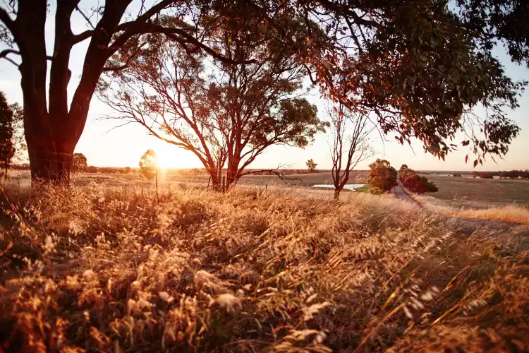 Hotels in Rutherglen