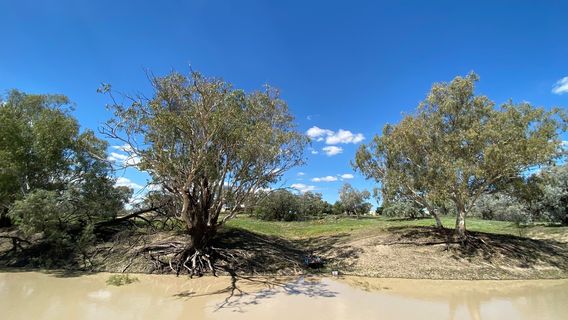 Bourke Shire Council