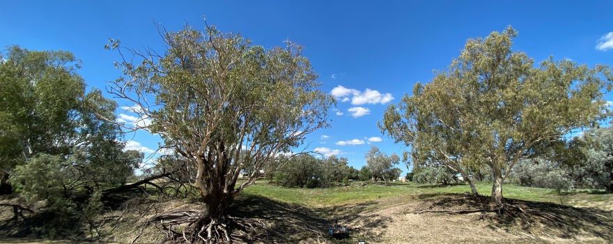 Bourke Shire Council